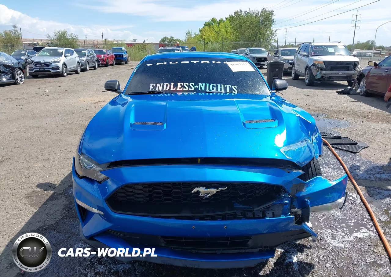 2019 Ford Mustang Ecoboost Premium VIN:1FA6P8TH0K5143516 - 12