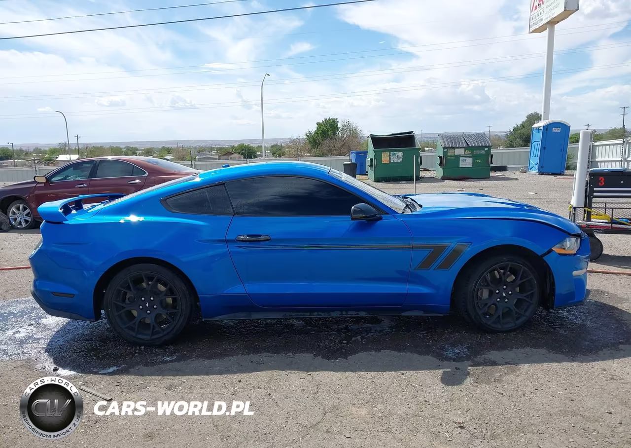 2019 Ford Mustang Ecoboost Premium VIN:1FA6P8TH0K5143516 - 13