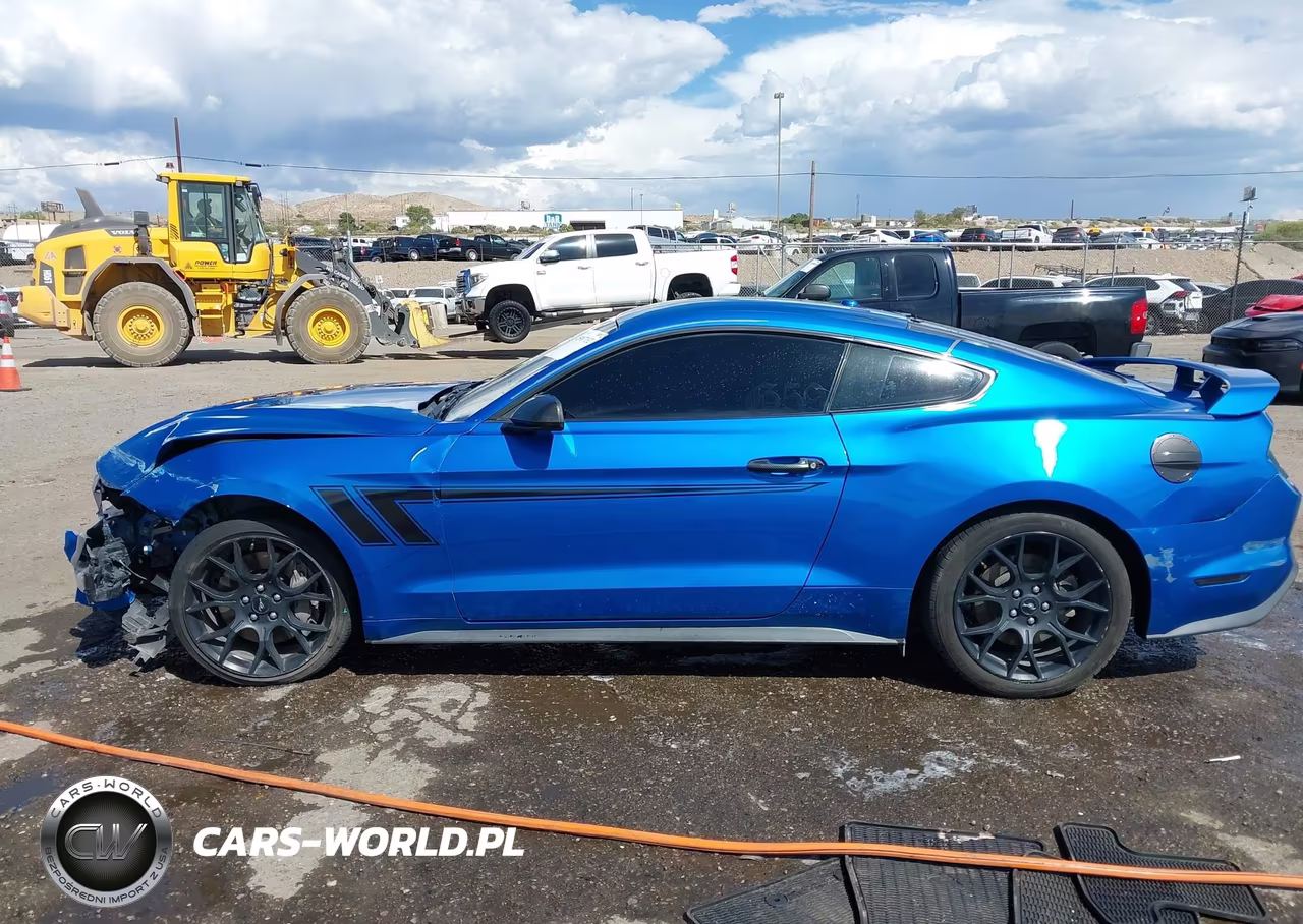 2019 Ford Mustang Ecoboost Premium VIN:1FA6P8TH0K5143516 - 14