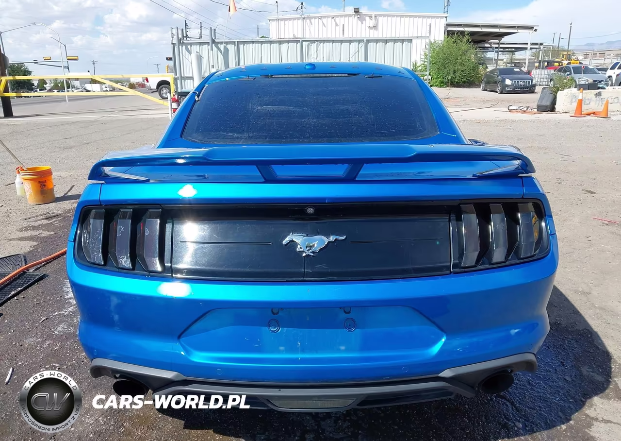 2019 Ford Mustang Ecoboost Premium VIN:1FA6P8TH0K5143516 - 16