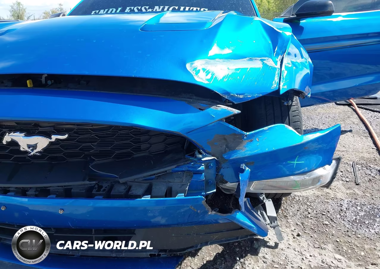 2019 Ford Mustang Ecoboost Premium VIN:1FA6P8TH0K5143516 - 17