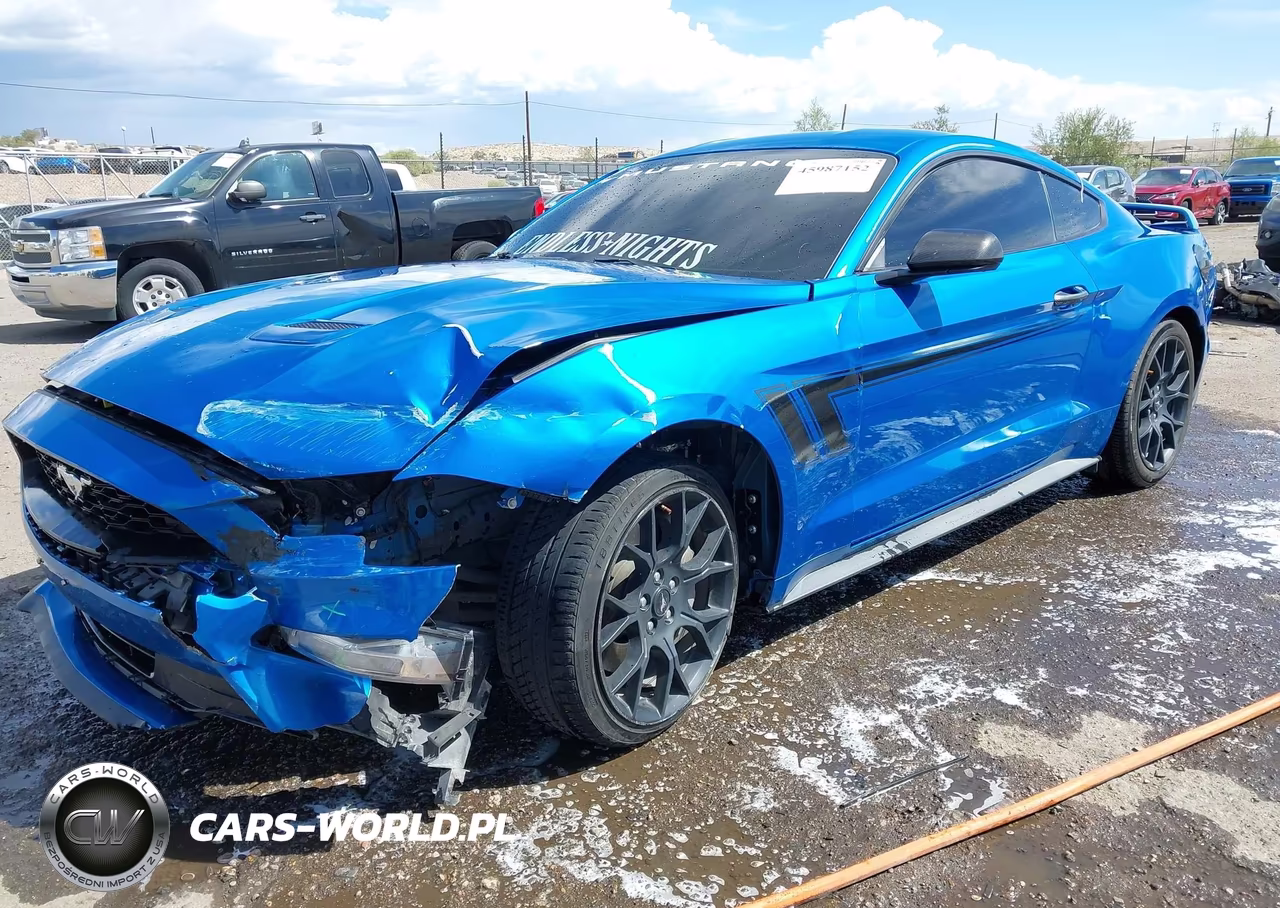 2019 Ford Mustang Ecoboost Premium VIN:1FA6P8TH0K5143516 - 2