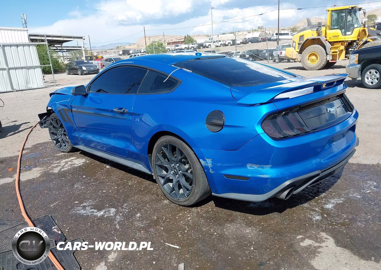 2019 Ford Mustang Ecoboost Premium VIN:1FA6P8TH0K5143516 - 3