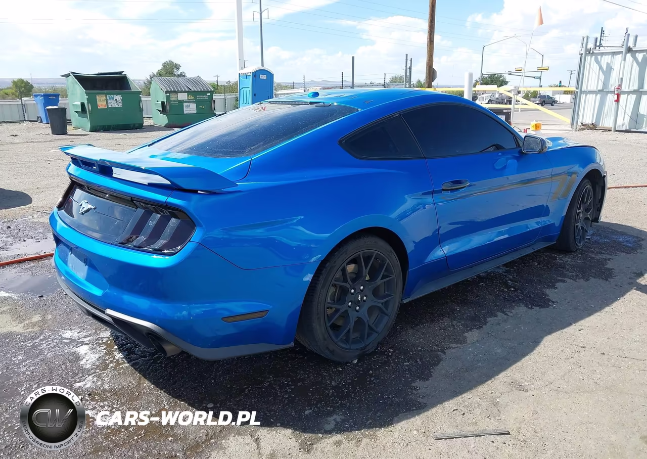 2019 Ford Mustang Ecoboost Premium VIN:1FA6P8TH0K5143516 - 4