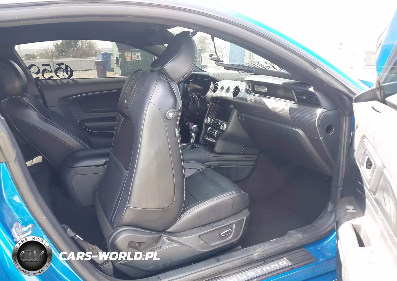 2019 Ford Mustang Ecoboost Premium VIN:1FA6P8TH0K5143516 - 5