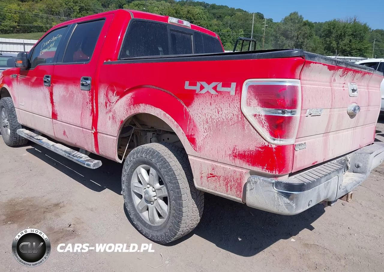 2014 Ford F-150 Xlt VIN:1FTFW1ETXEFC65191 - 3
