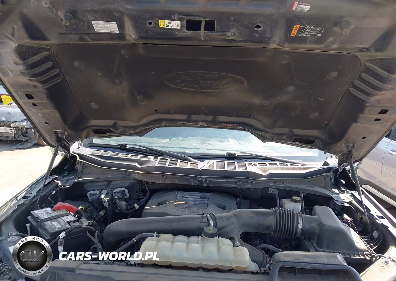 2022 Ford F-150 Platinum VIN:1FTFW1E87NFA26774 - 10