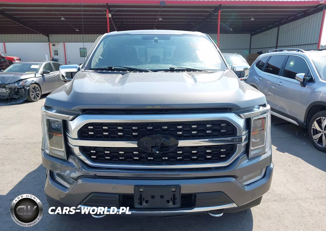 2022 Ford F-150 Platinum VIN:1FTFW1E87NFA26774 - 12