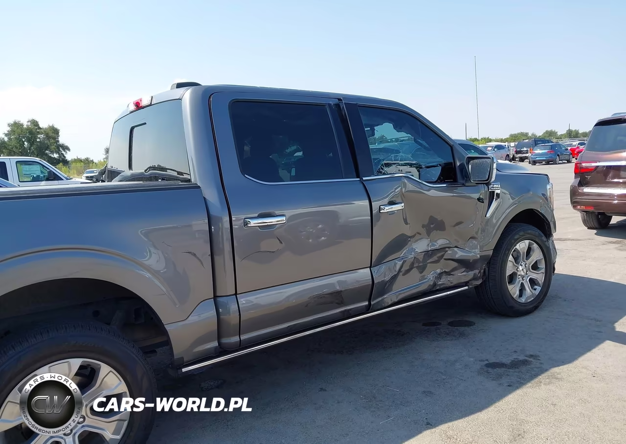 2022 Ford F-150 Platinum VIN:1FTFW1E87NFA26774 - 17