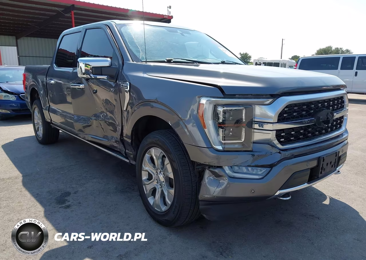 2022 Ford F-150 Platinum VIN:1FTFW1E87NFA26774 - 18
