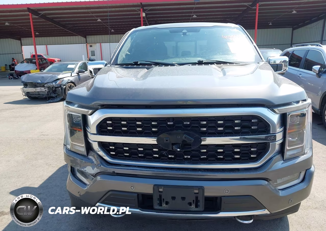 2022 Ford F-150 Platinum VIN:1FTFW1E87NFA26774 - 19
