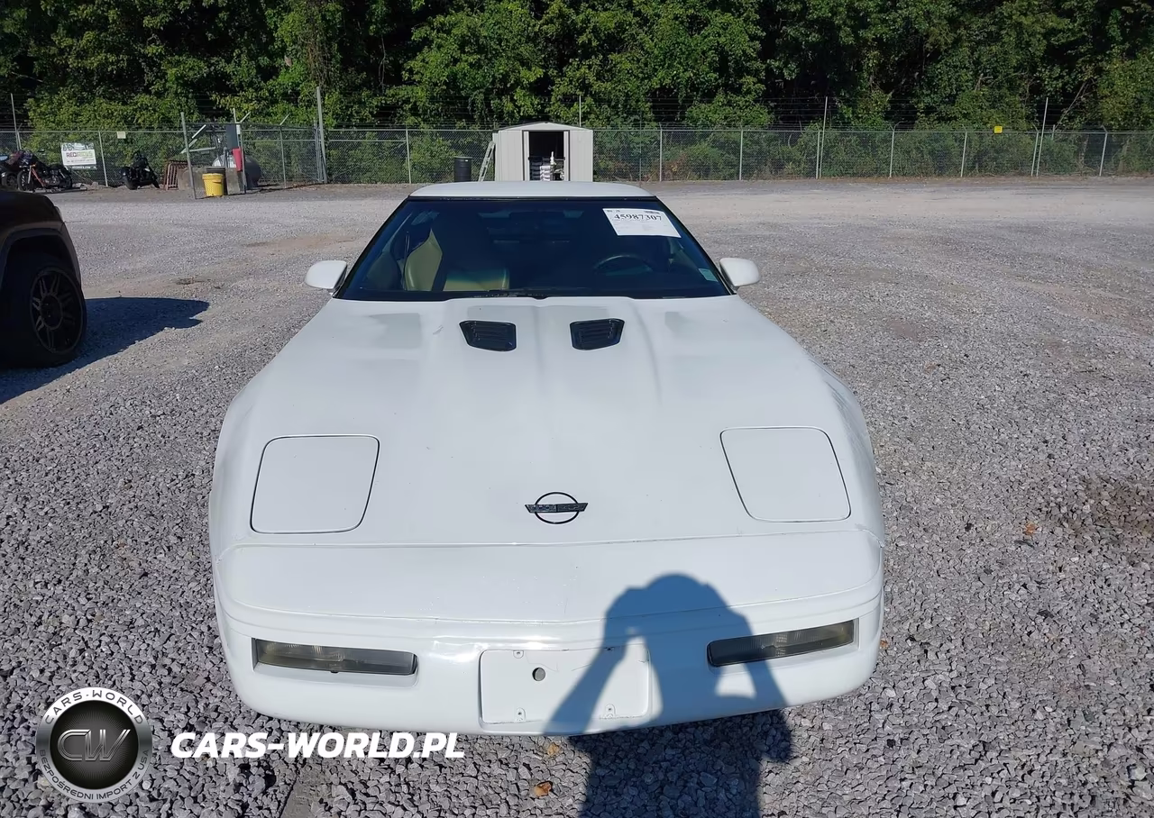1996 Chevrolet Corvette VIN:1G1YY22P1T5113053 - 12