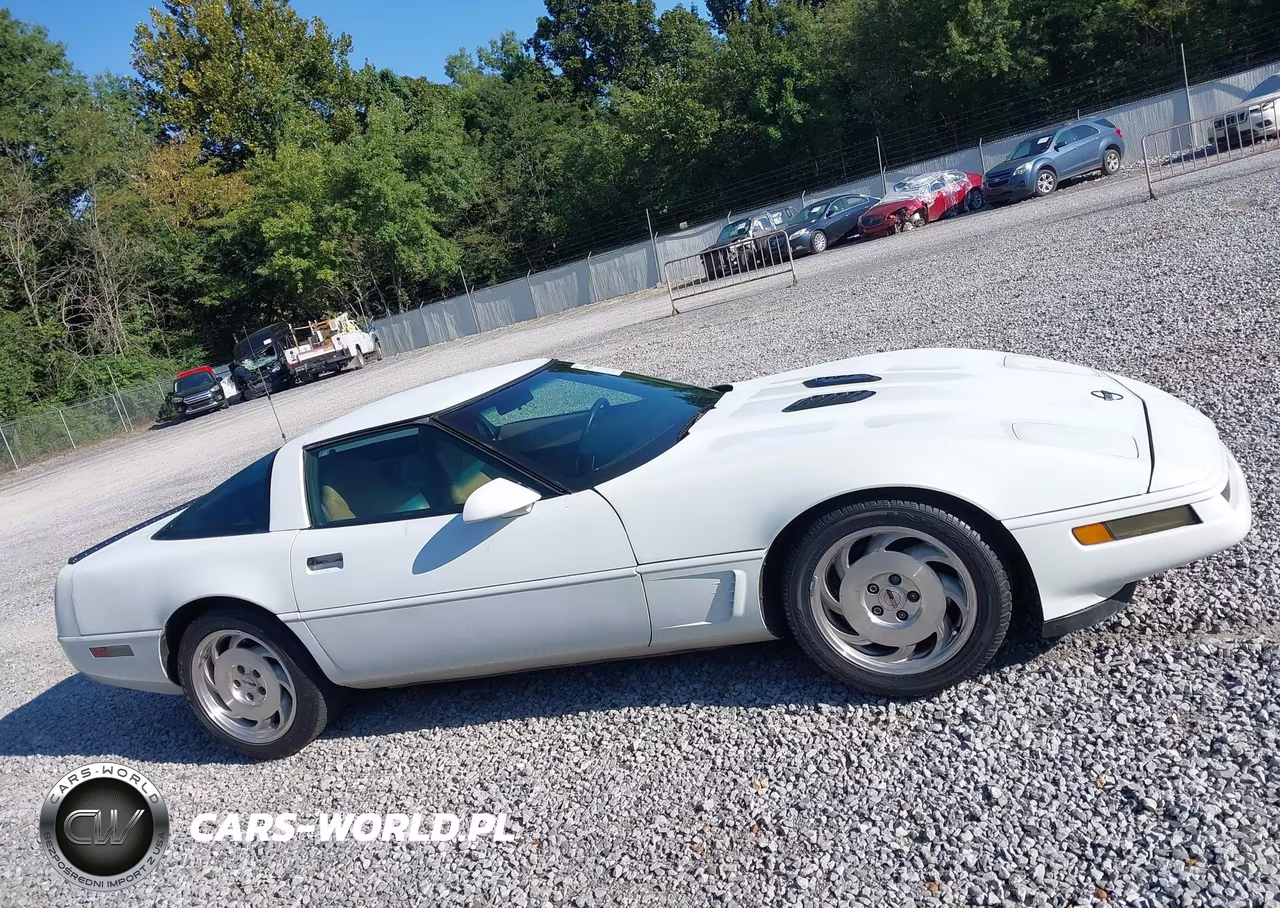 1996 Chevrolet Corvette VIN:1G1YY22P1T5113053 - 13
