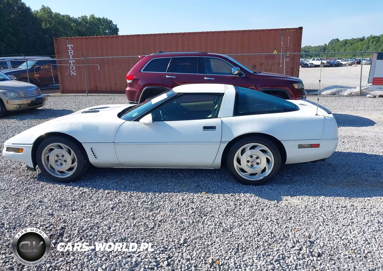 1996 Chevrolet Corvette VIN:1G1YY22P1T5113053 - 14