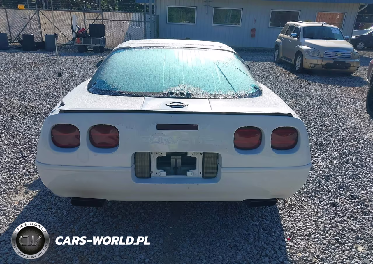1996 Chevrolet Corvette VIN:1G1YY22P1T5113053 - 16