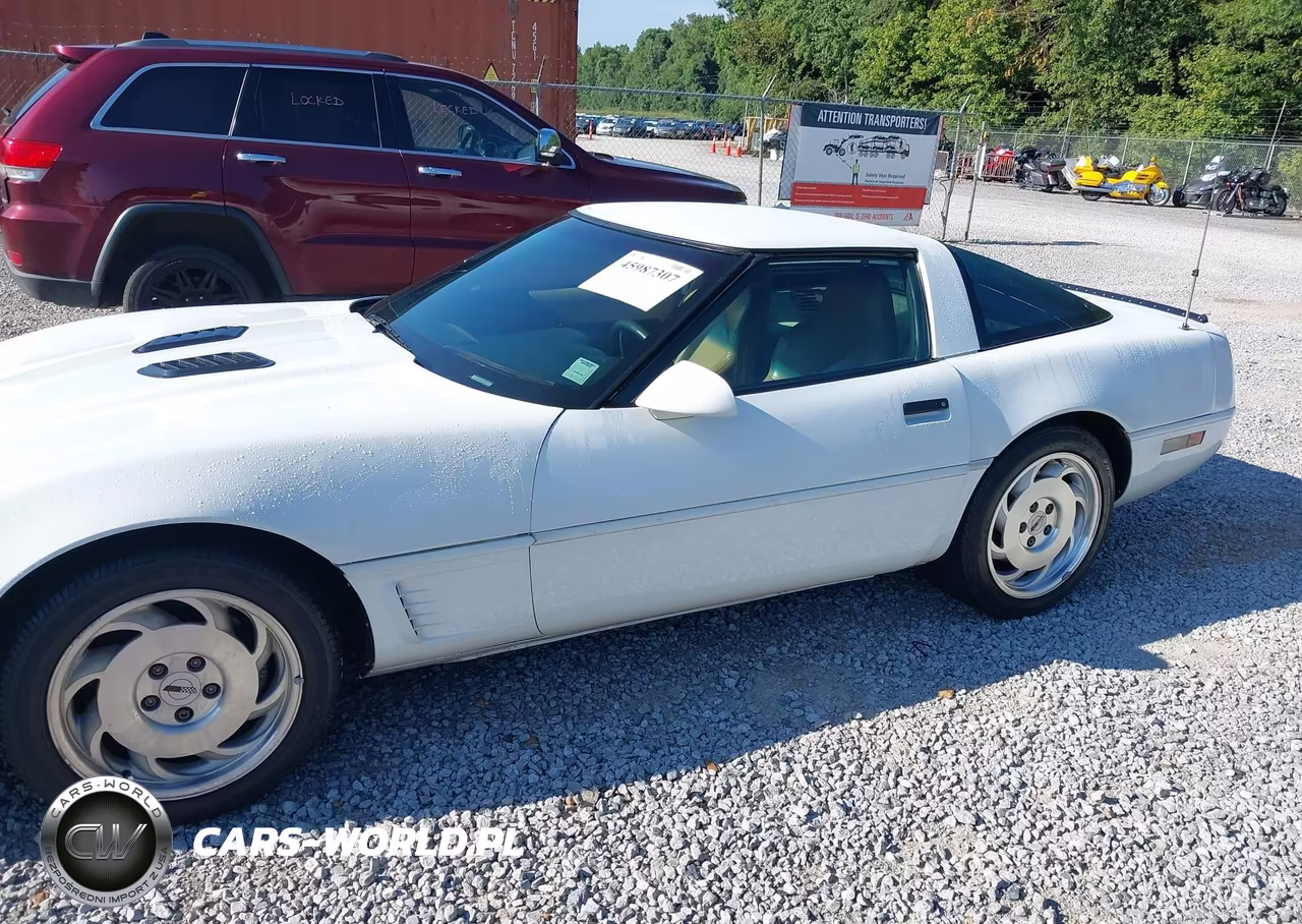 1996 Chevrolet Corvette VIN:1G1YY22P1T5113053 - 17
