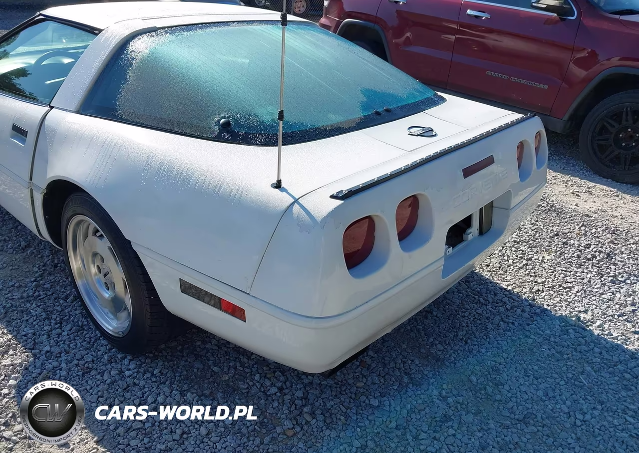 1996 Chevrolet Corvette VIN:1G1YY22P1T5113053 - 18