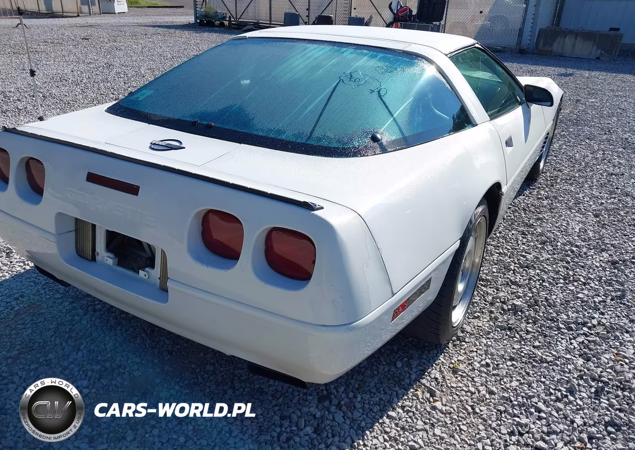 1996 Chevrolet Corvette VIN:1G1YY22P1T5113053 - 19