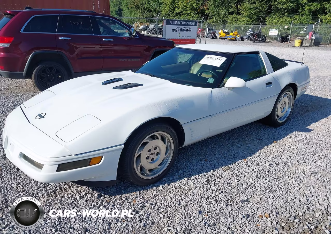 1996 Chevrolet Corvette VIN:1G1YY22P1T5113053 - 2