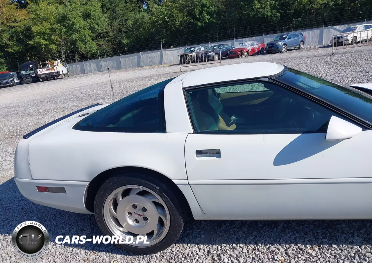 1996 Chevrolet Corvette VIN:1G1YY22P1T5113053 - 20