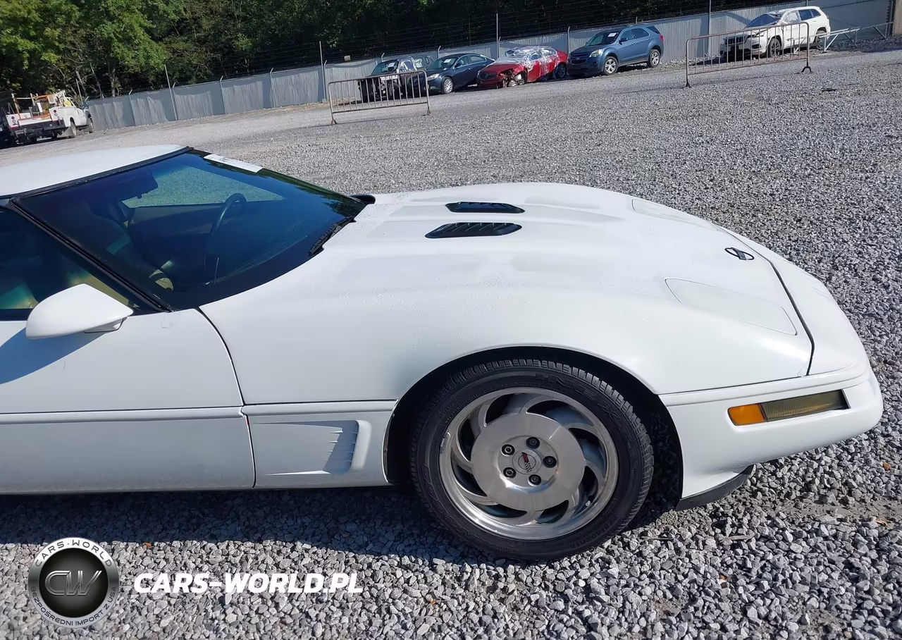 1996 Chevrolet Corvette VIN:1G1YY22P1T5113053 - 21