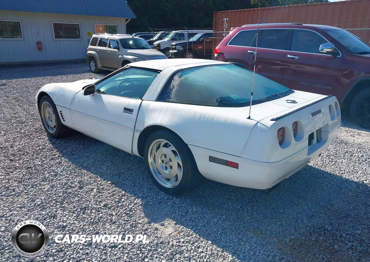 1996 Chevrolet Corvette VIN:1G1YY22P1T5113053 - 3