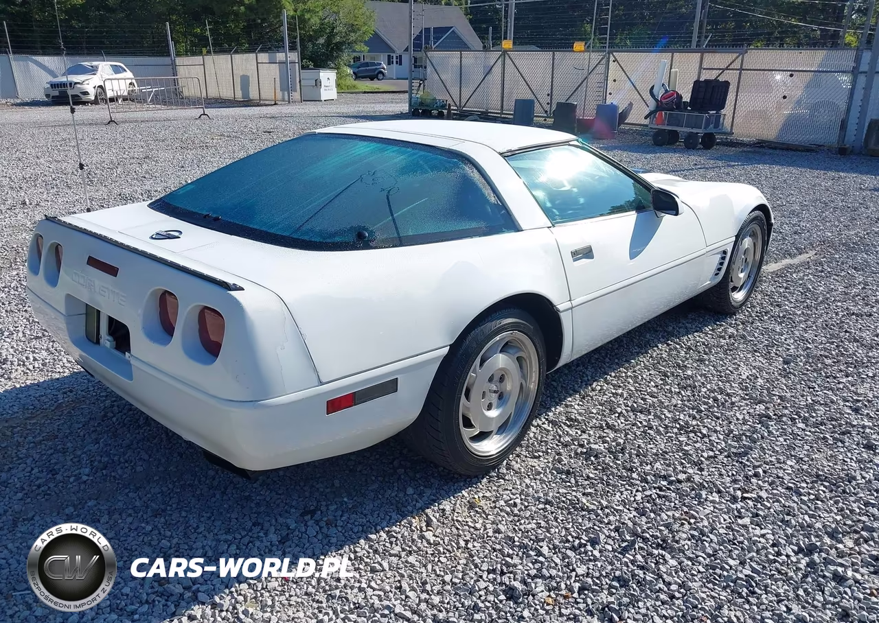 1996 Chevrolet Corvette VIN:1G1YY22P1T5113053 - 4