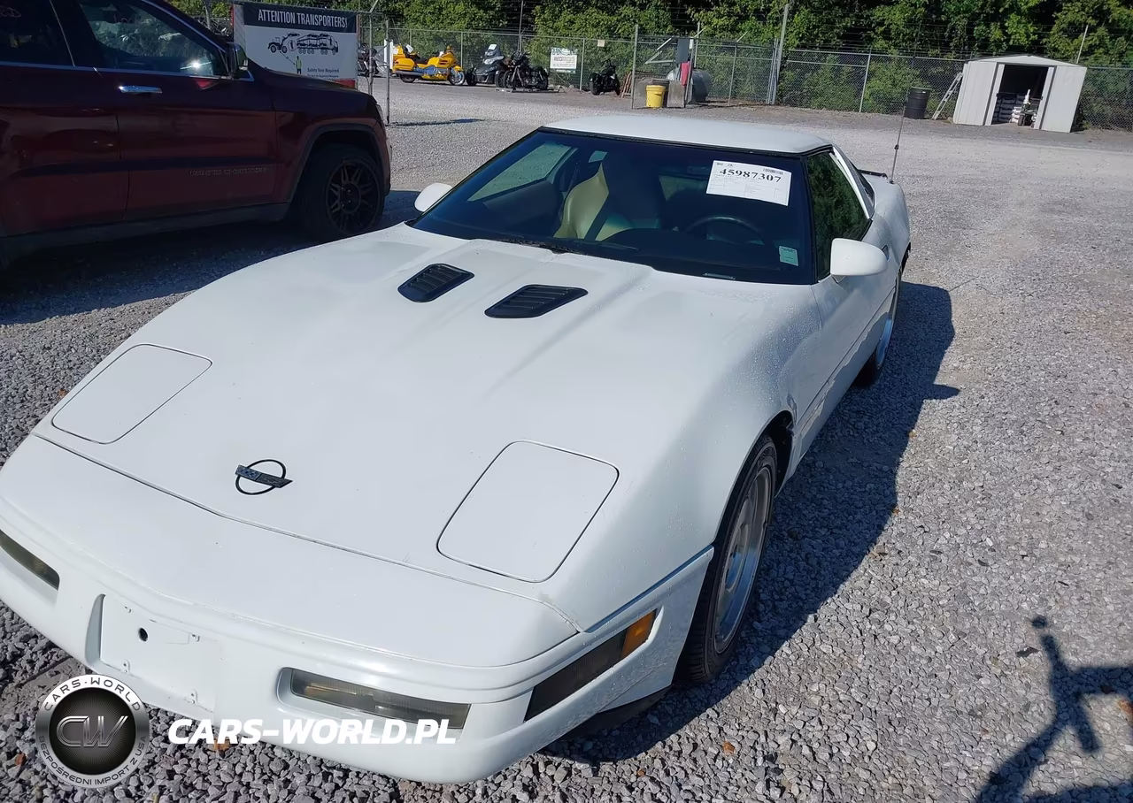 1996 Chevrolet Corvette VIN:1G1YY22P1T5113053 - 6