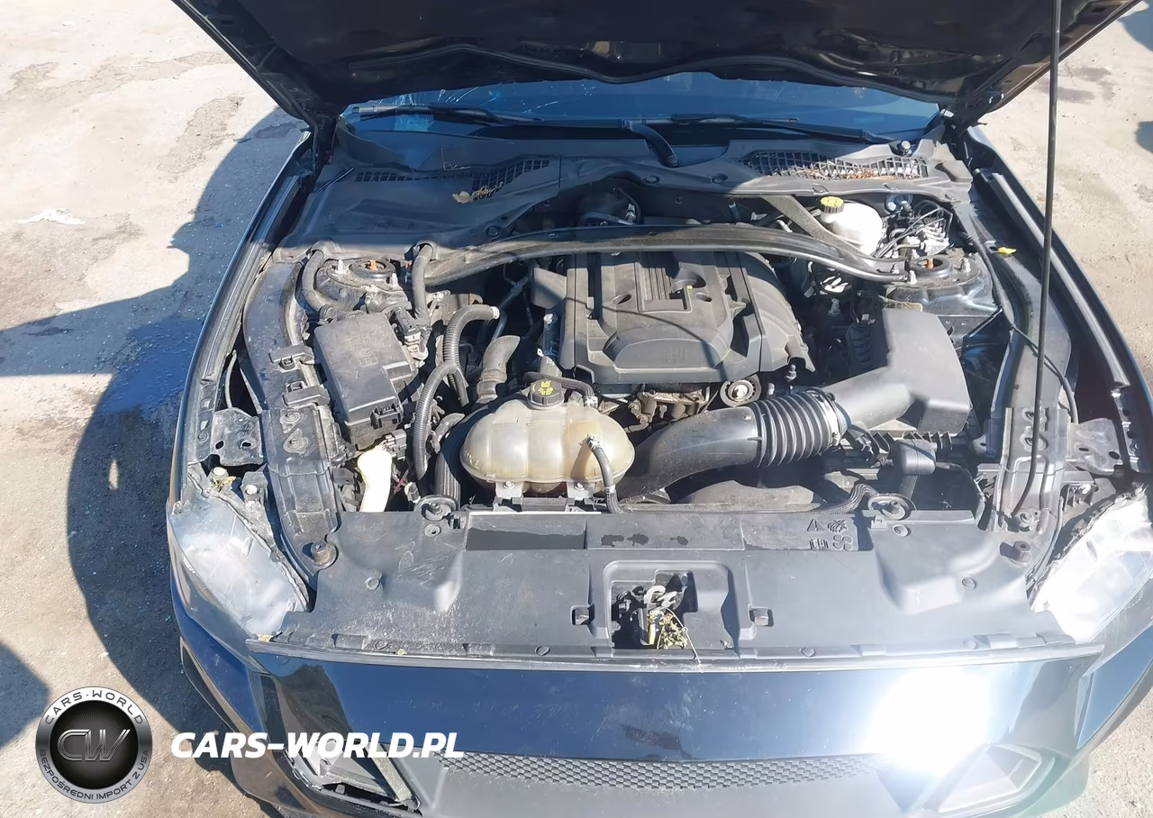 2019 Ford Mustang Ecoboost Premium VIN:1FA6P8TH6K5124663 - 10