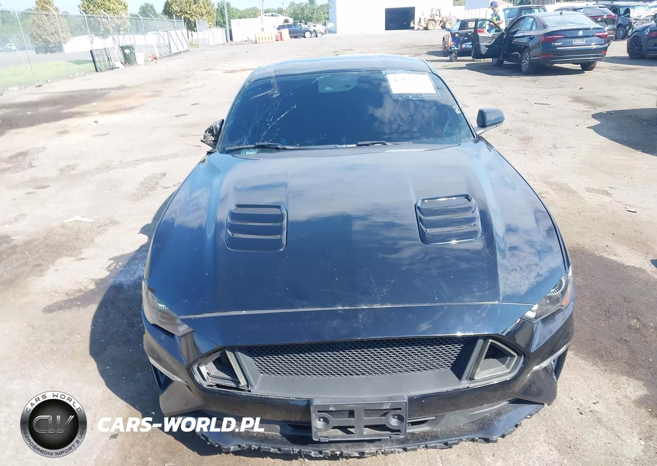 2019 Ford Mustang Ecoboost Premium VIN:1FA6P8TH6K5124663 - 12
