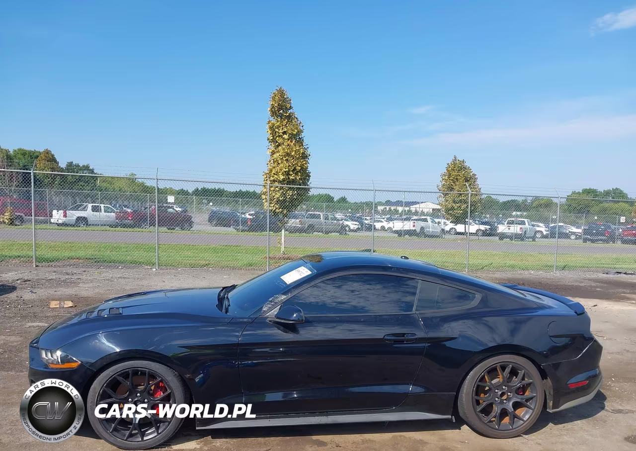 2019 Ford Mustang Ecoboost Premium VIN:1FA6P8TH6K5124663 - 14