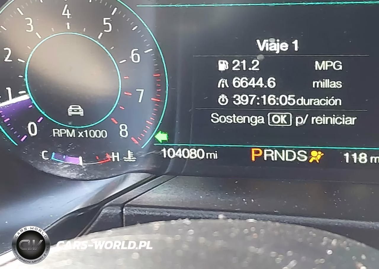 2019 Ford Mustang Ecoboost Premium VIN:1FA6P8TH6K5124663 - 15