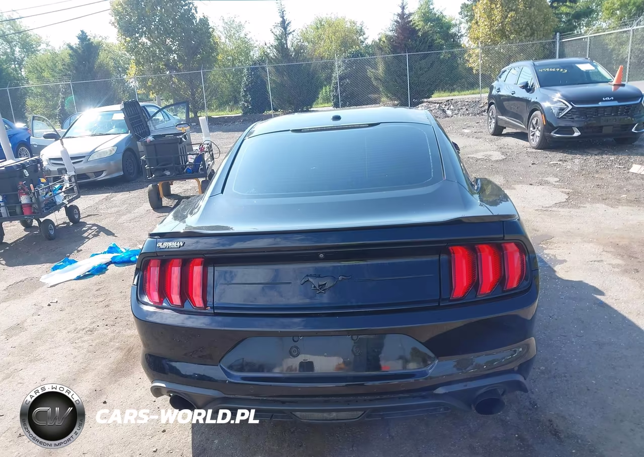 2019 Ford Mustang Ecoboost Premium VIN:1FA6P8TH6K5124663 - 16