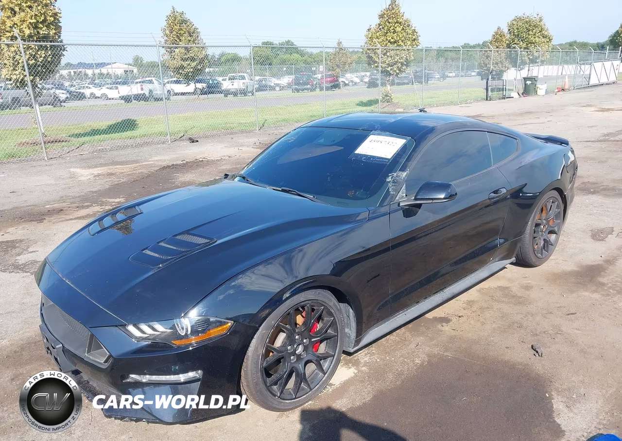 2019 Ford Mustang Ecoboost Premium VIN:1FA6P8TH6K5124663 - 2