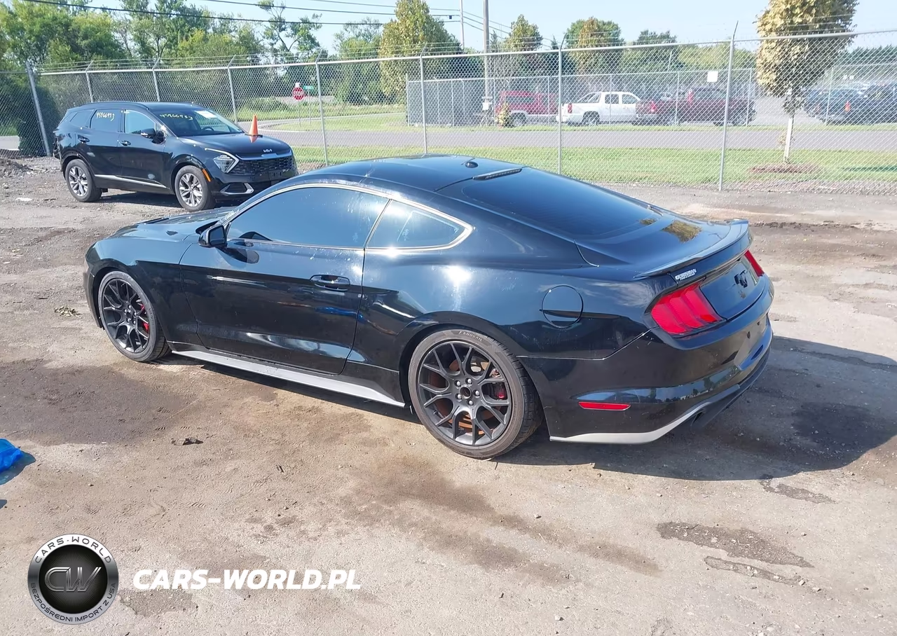 2019 Ford Mustang Ecoboost Premium VIN:1FA6P8TH6K5124663 - 3