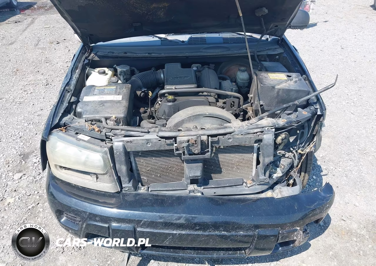 2002 Chevrolet Trailblazer Ls VIN:1GNDS13S522475513 - 10