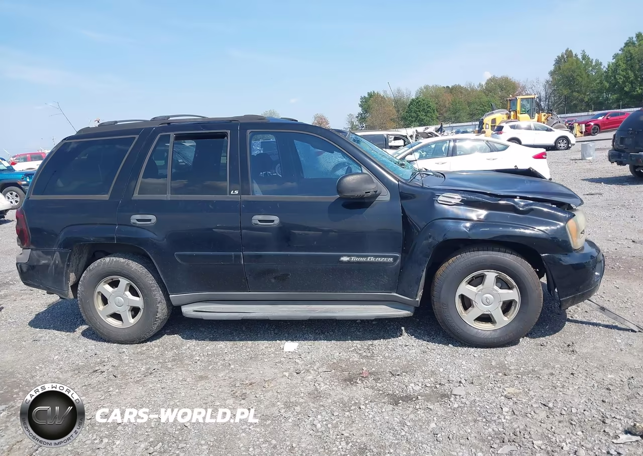 2002 Chevrolet Trailblazer Ls VIN:1GNDS13S522475513 - 13