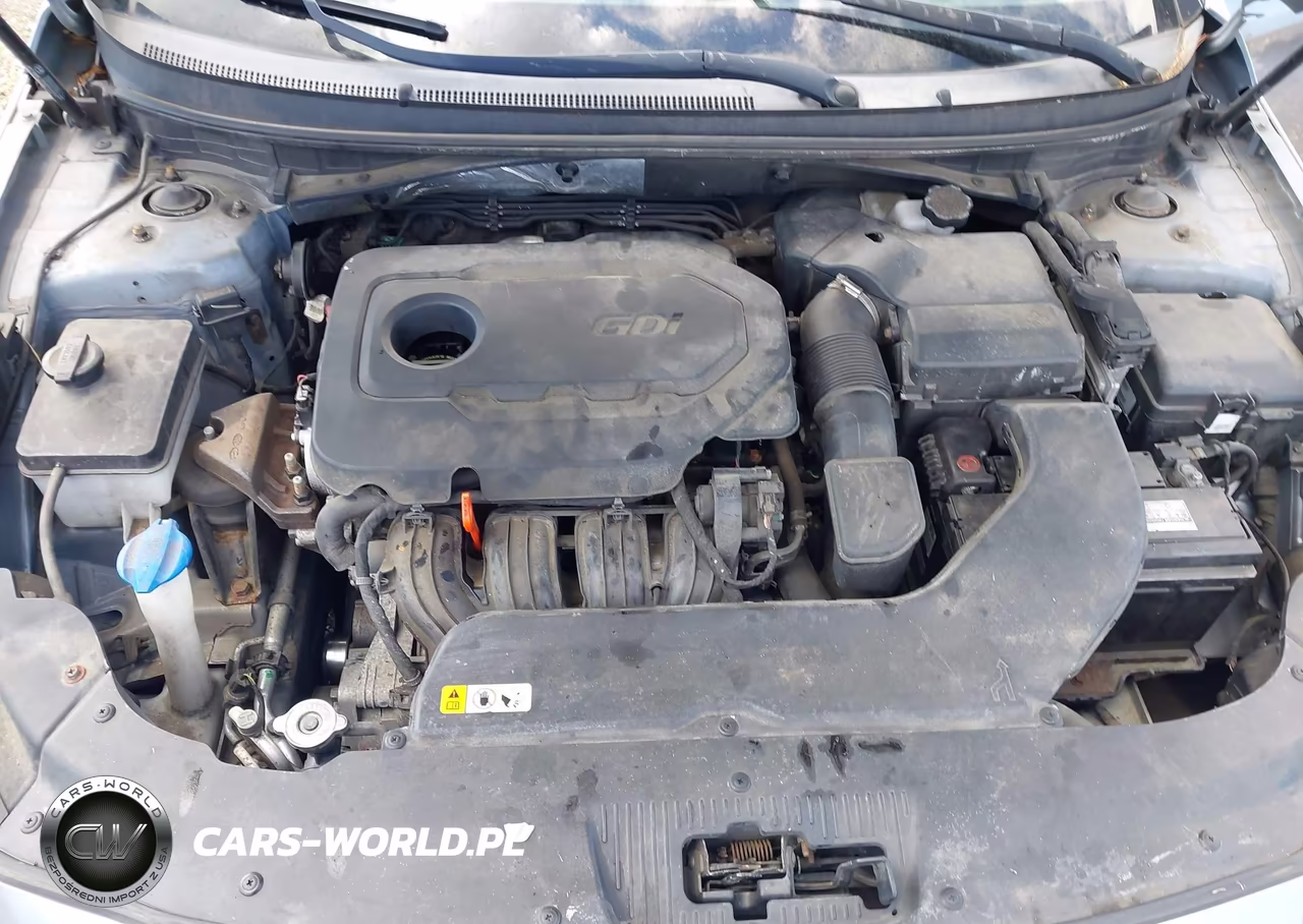 2015 Hyundai Sonata Se VIN:5NPE24AF3FH096616 - 10