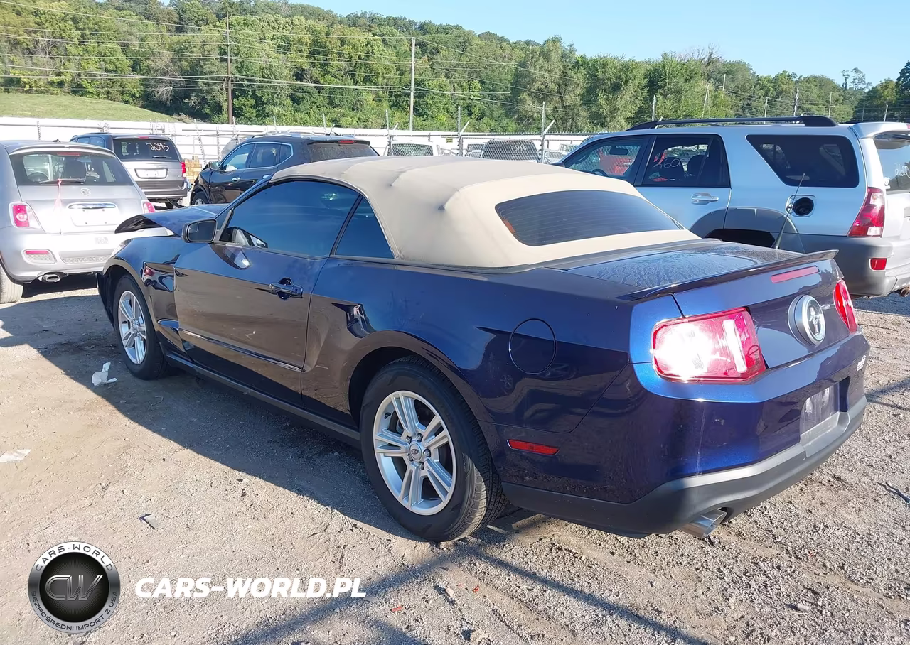 2012 Ford Mustang V6 VIN:1ZVBP8EM7C5257823 - 3
