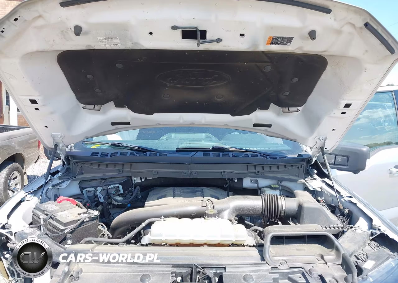 2023 Ford F-150 Tremor VIN:1FTEW1E88PFB01111 - 10