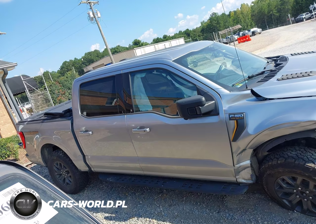 2023 Ford F-150 Tremor VIN:1FTEW1E88PFB01111 - 13