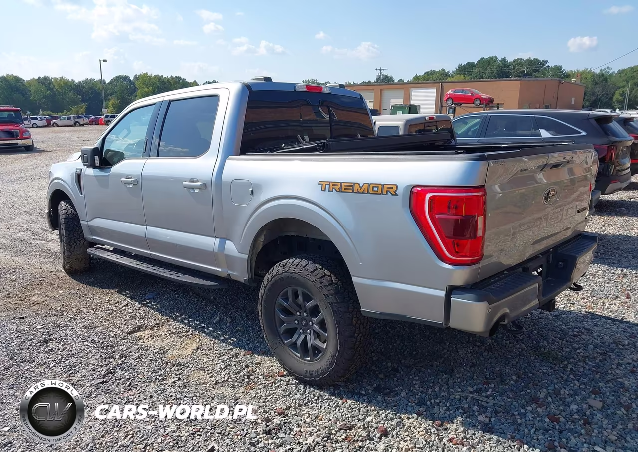 2023 Ford F-150 Tremor VIN:1FTEW1E88PFB01111 - 3
