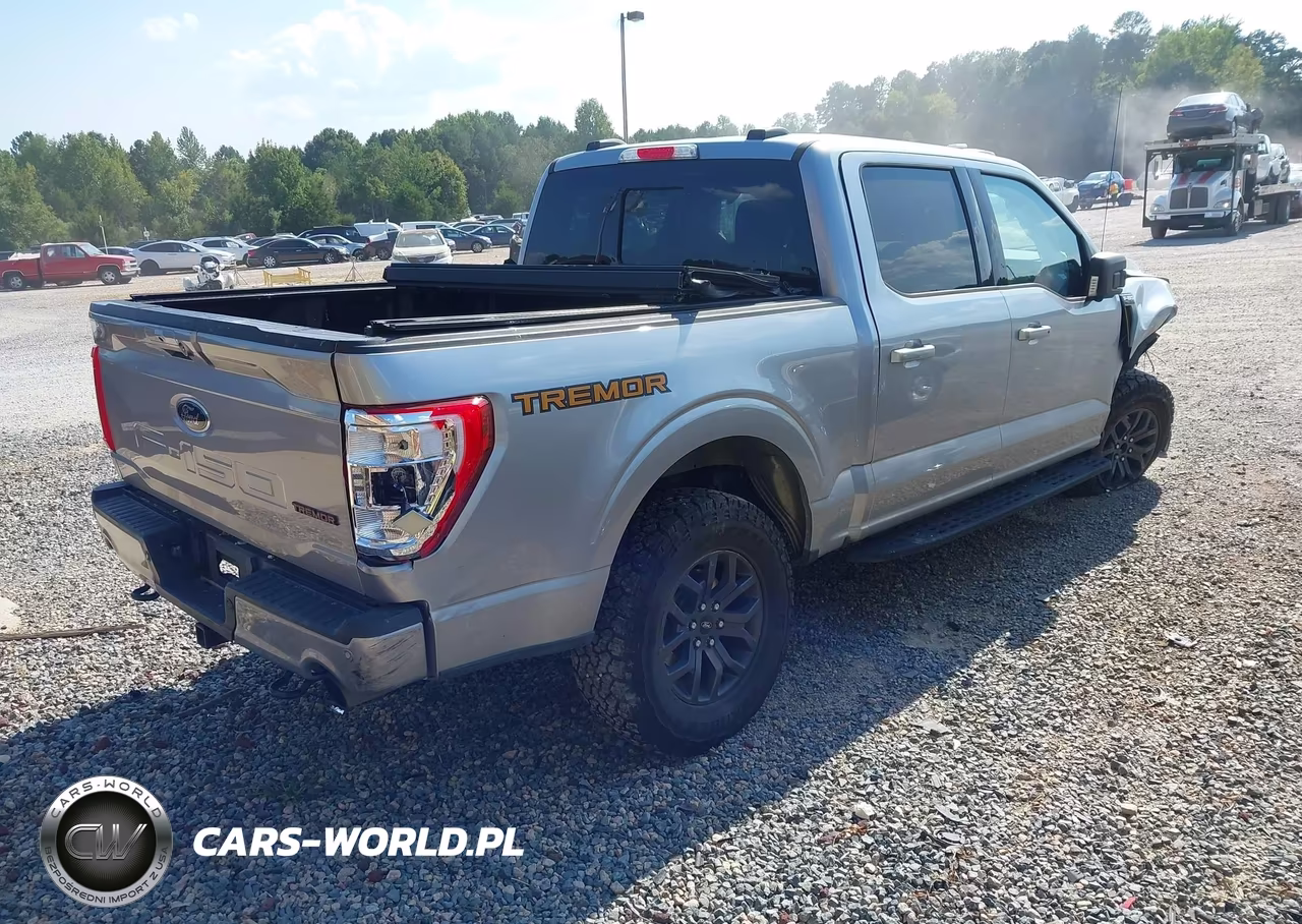 2023 Ford F-150 Tremor VIN:1FTEW1E88PFB01111 - 4