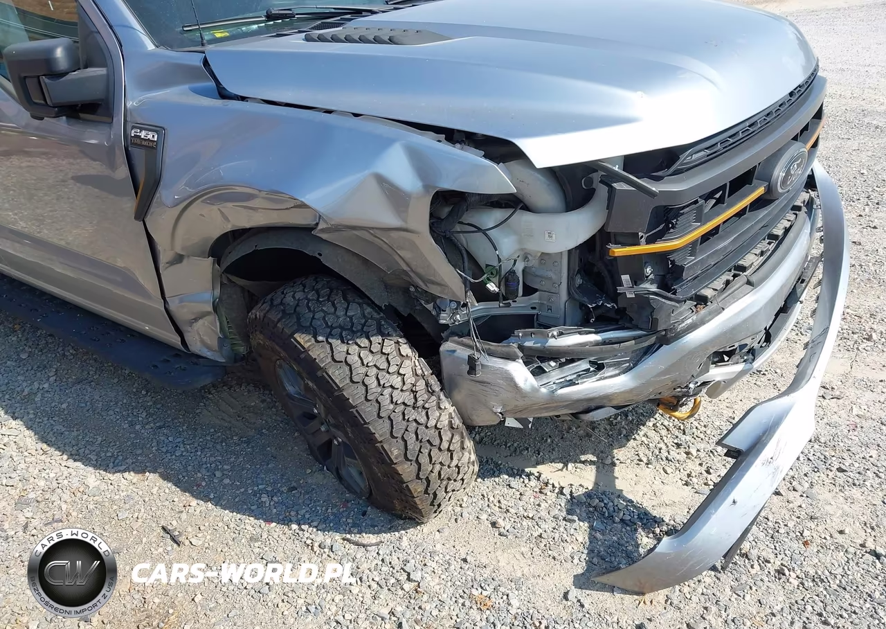 2023 Ford F-150 Tremor VIN:1FTEW1E88PFB01111 - 6