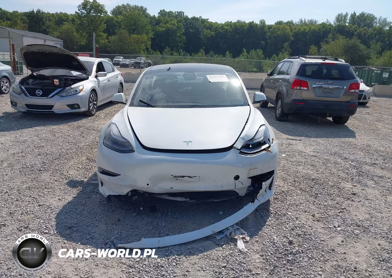 2021 Tesla Model 3 Long Range Dual Motor All-Wheel Drive VIN:5YJ3E1EB7MF049556 - 12