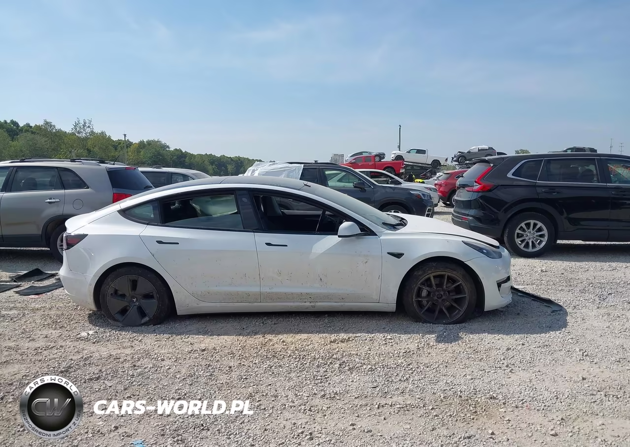 2021 Tesla Model 3 Long Range Dual Motor All-Wheel Drive VIN:5YJ3E1EB7MF049556 - 13