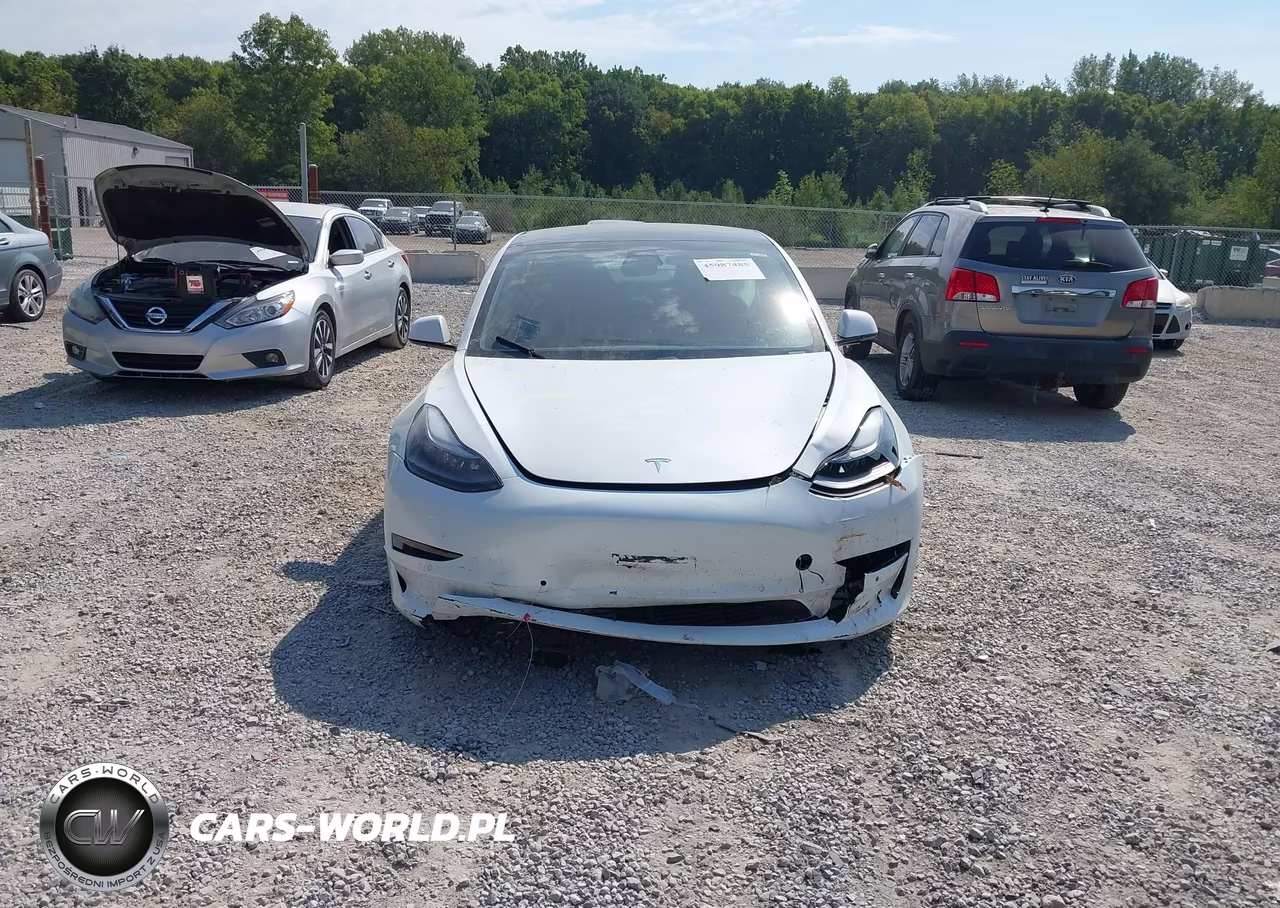 2021 Tesla Model 3 Long Range Dual Motor All-Wheel Drive VIN:5YJ3E1EB7MF049556 - 6