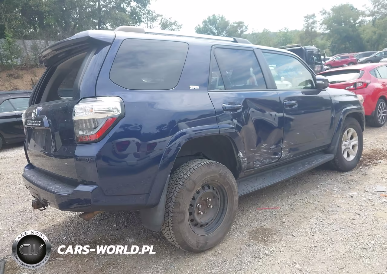 2019 Toyota 4Runner Sr5 Premium VIN:JTEBU5JRXK5717871 - 4