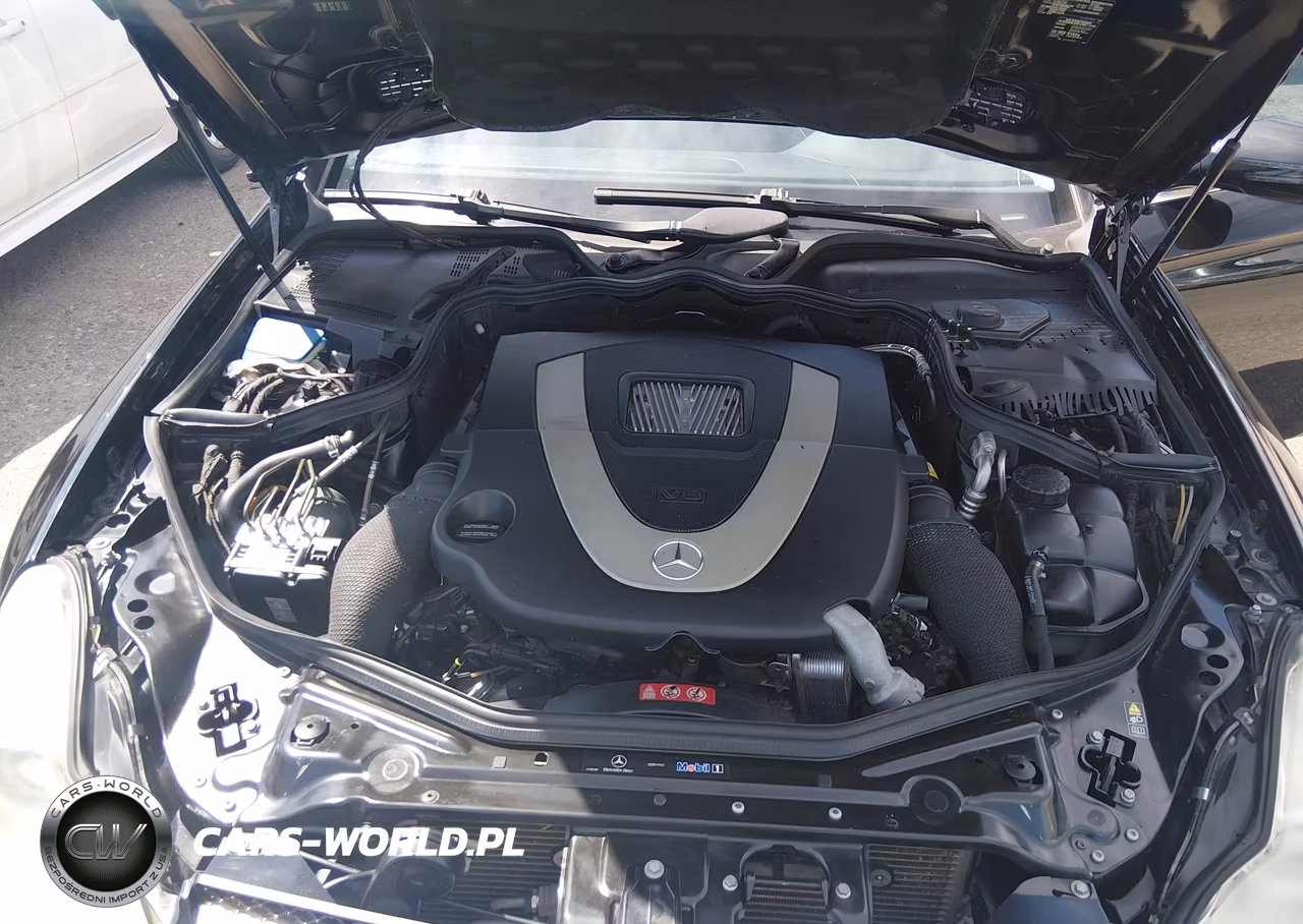 2010 Mercedes-Benz Cls 550 VIN:WDDDJ7CB9AA160772 - 10