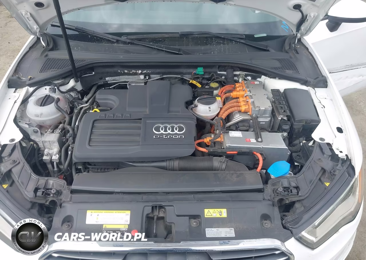 2016 Audi A3 E-Tron 1.4T Premium VIN:WAUUPBFF8GA145986 - 10